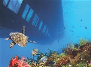 Travel Thumb